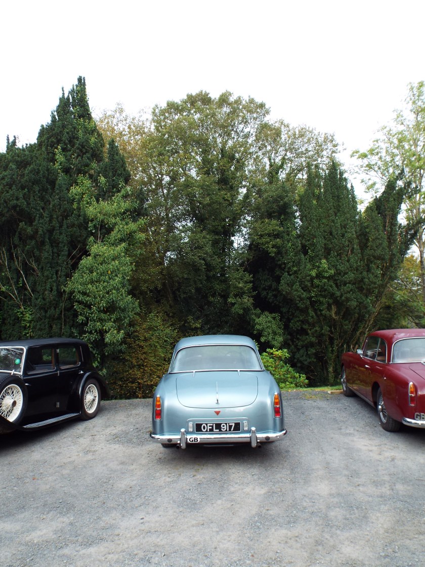 The Gray's TD21 26736